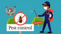 Pest Control Cammeray image 4