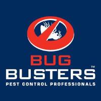 Bug Busters image 1