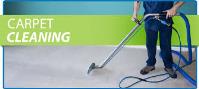Carpet Cleaning Williamstown image 2