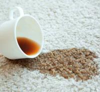 Carpet Cleaning Prospect image 4