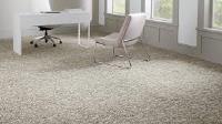 Cheap Carpet Cleaning Sydney image 7