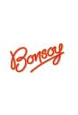Bonsoy logo