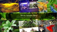 Micro Aquatic Shop  image 5
