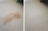 Carpet Cleaning Trafalgar South image 7