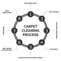 Carpet Cleaning Ferny Hills image 2
