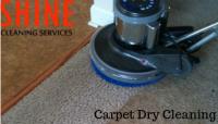 Carpet Cleaning Palmerston image 4