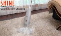 Carpet Cleaning Palmerston image 1