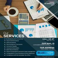 Bluedash consulting image 1