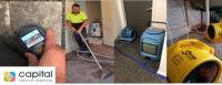 Wet Carpet Drying Melbourne | Capital Facility image 2