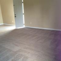 Carpet Cleaning Adelaide image 9
