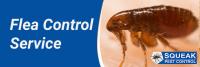 Squeak Pest Control Melbourne image 7