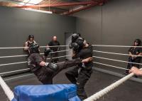 Premier Martial Arts and Fitness Academy  image 2