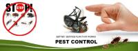 Squeak Pest Control Melbourne image 10