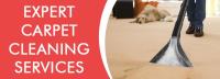 Carpet Cleaning Ipswich image 2