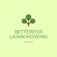 Betterfor Lawn Mowing image 1