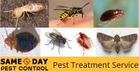 Pest Control Traralgon South image 2