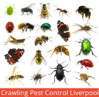 Pest Control Liverpool image 2