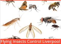 Pest Control Liverpool image 3