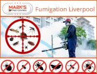 Pest Control Liverpool image 6