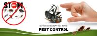 Pest Control Parkes image 3