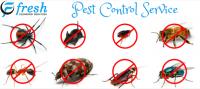 Pest Control Griffith image 7