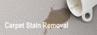 Carpet Cleaning Wollongong image 5