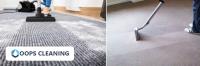 Carpet Dry Cleaning Launceston image 3