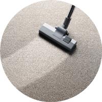 Dinno's Carpet Cleaning & Pest Control image 5