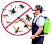 Pest Control Wollongong image 2