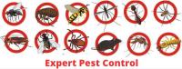 Pest Control Lithgow image 4