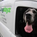 DogDayz logo