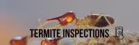 Antipesto Pest Control image 2