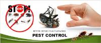 Pest Control Hallam image 6