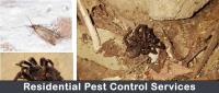 Pest Control Geelong image 4