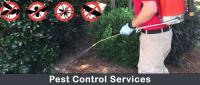 Pest Control Geelong image 6