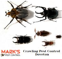 Pest Control Doveton image 1