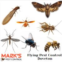 Pest Control Doveton image 2