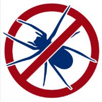 Pest Control Doveton image 6