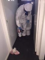 Accredited Cleaning and Pest Solutions image 1