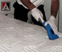 Accredited Cleaning and Pest Solutions image 9