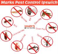 Pest Control Ipswich image 5