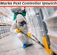 Pest Control Ipswich image 8