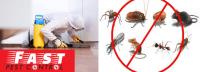 Pest Control Berwick image 6