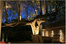 Luminance Night Gardens image 3