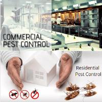 Pest Control Essendon image 6