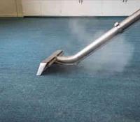 Marks Carpet Cleaning in Melbourne image 2