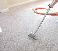 Marks Carpet Cleaning - Carpet Cleaning Melbourne  image 7
