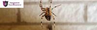 Best Pest Control Canberra image 5