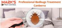 Bedbugs Control Canberra image 3