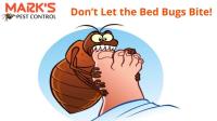 Bedbugs Control Sydney image 3